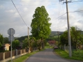 DSCN0852.JPG