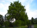 DSCN0854.JPG