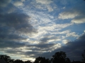 DSCN0858.JPG