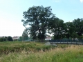 DSCN0022.JPG