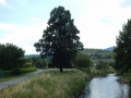 DSCN0023.JPG