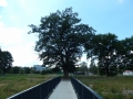 DSCN0024.JPG