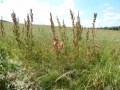 DSCN0029.JPG