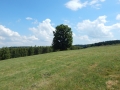 DSCN0039.JPG