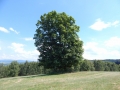 DSCN0041.JPG