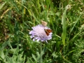 DSCN0042.JPG