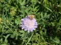 DSCN0045.JPG