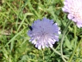 DSCN0047.JPG