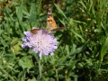 DSCN0051.JPG