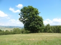 DSCN0059.JPG