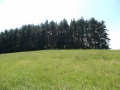 DSCN0061.JPG