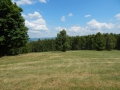 DSCN0062.JPG