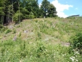 DSCN0091.JPG