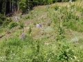 DSCN0093.JPG