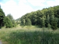 DSCN0102.JPG