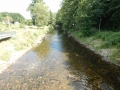DSCN0117.JPG