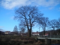 DSCN0245.JPG