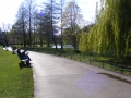 DSCF0131.jpg