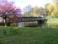 DSCF0139.jpg