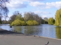 DSCF0142.jpg