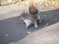 DSCF0148.jpg