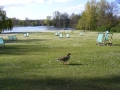 DSCF0149.jpg