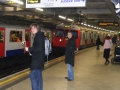 DSCF0153.jpg