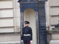 DSCF0298.jpg