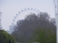 DSCF0308.jpg