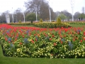 DSCF0310.jpg