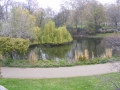 DSCF0311.jpg