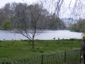 DSCF0323.jpg
