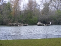 DSCF0325.jpg