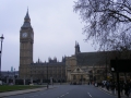 DSCF0337.jpg