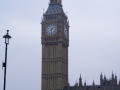 DSCF0338.jpg