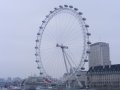 DSCF0345.jpg