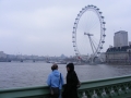 DSCF0347.jpg