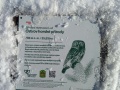 IMG_20200208_141621