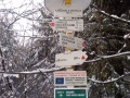 IMG_20200208_143210