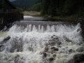 DSCN0463.jpg