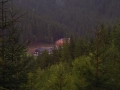 DSCN0469.jpg