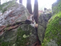 DSCN0475.jpg