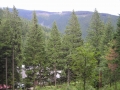 DSCN0486.jpg
