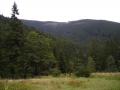 DSCN0493.jpg