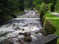 DSCN0495.jpg