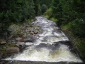 DSCN0497.jpg