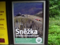 DSCN0501.jpg
