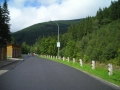 DSCN0503.jpg