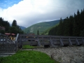 DSCN0507.jpg