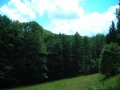 DSCN0865.JPG